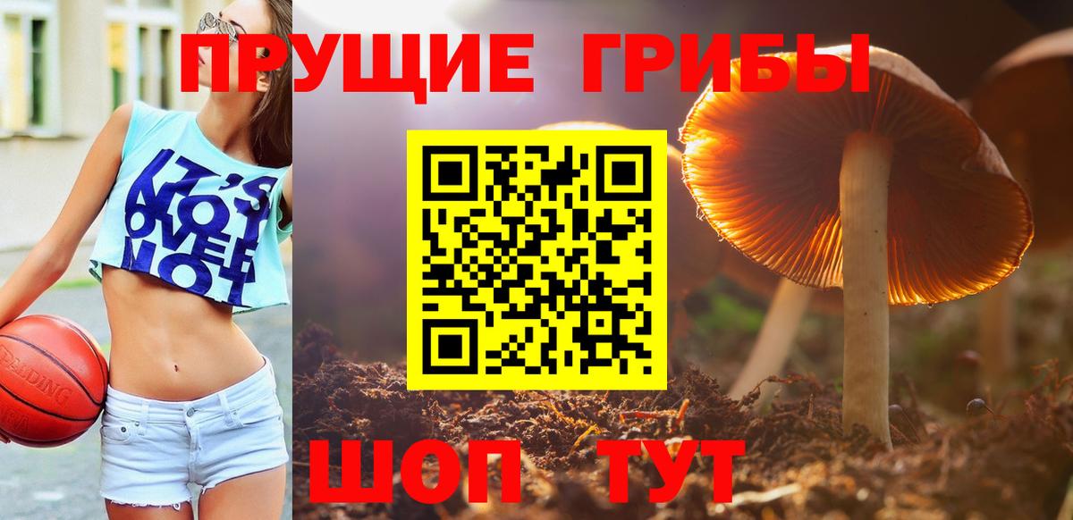 Псилоцибиновые грибы GOLDEN TEACHER Комсомольск-на-Амуре